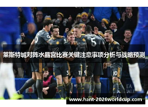 莱斯特城对阵水晶宫比赛关键注意事项分析与战略预测 莱斯特城对阵水晶宫比赛关键注意事项分析与战略预测